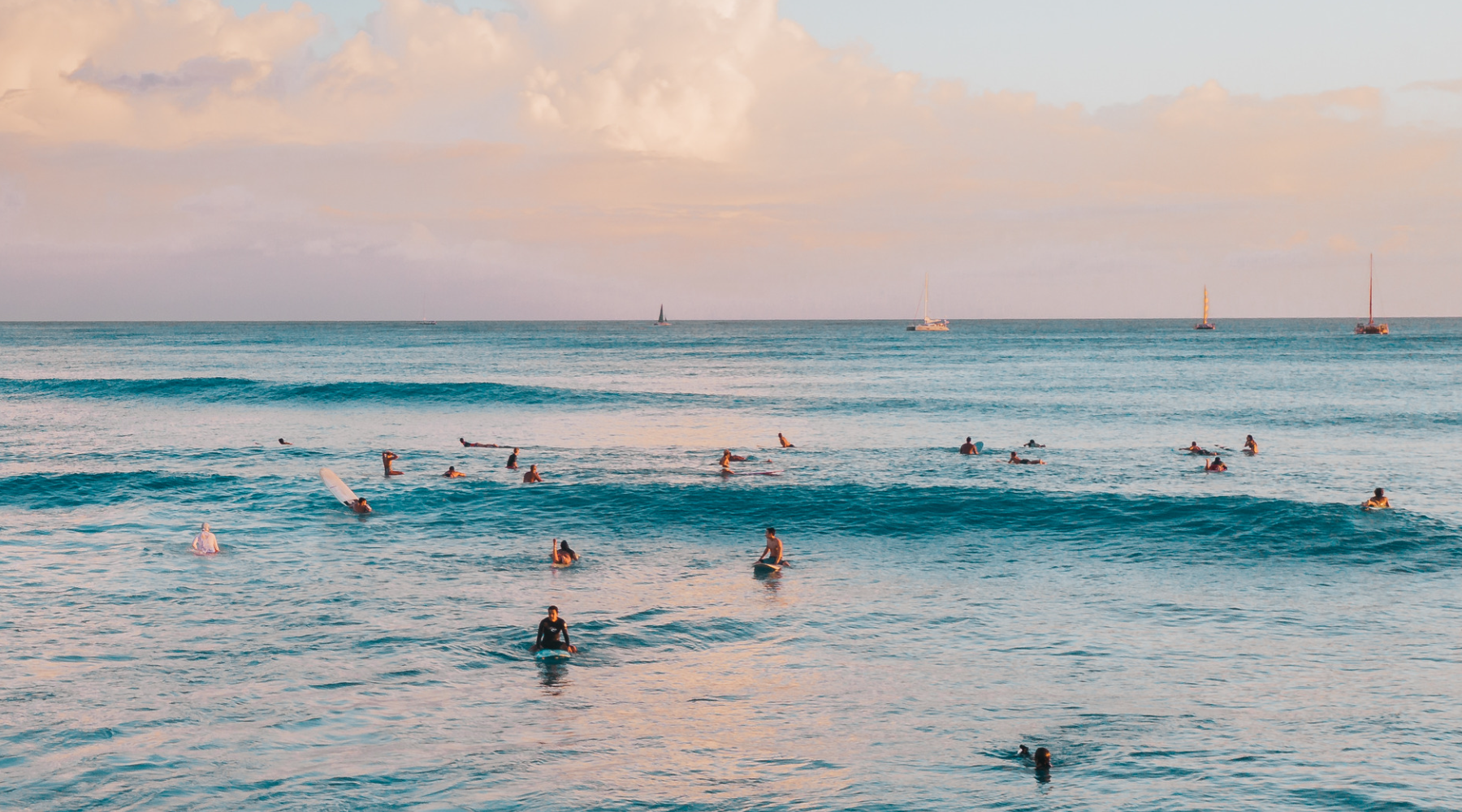 pink sunset over blue sea full of swimmers and surfers